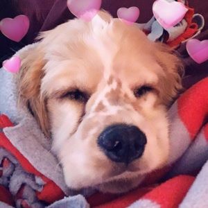 Meet your Posher, Mars